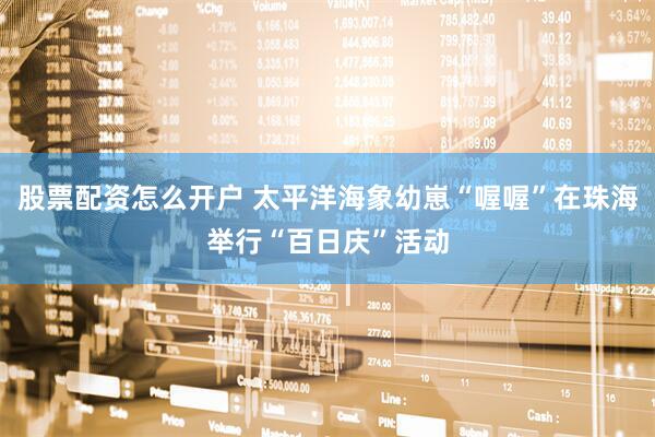 股票配资怎么开户 太平洋海象幼崽“喔喔”在珠海举行“百日庆”活动